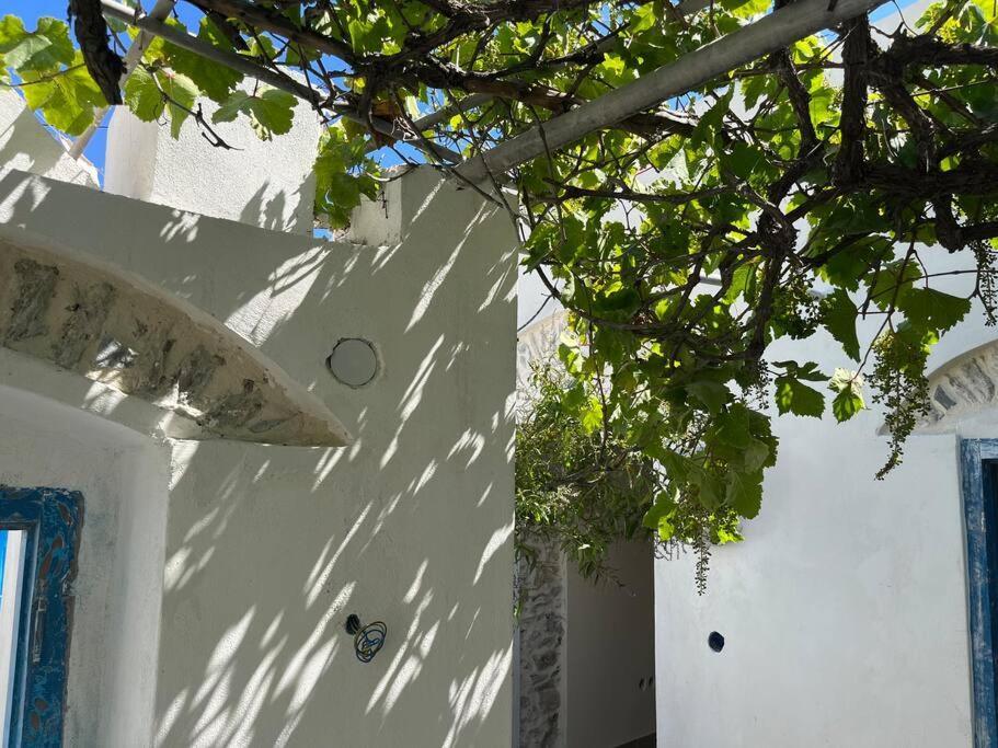Dream House Little Villa - Amorgo Esterno foto