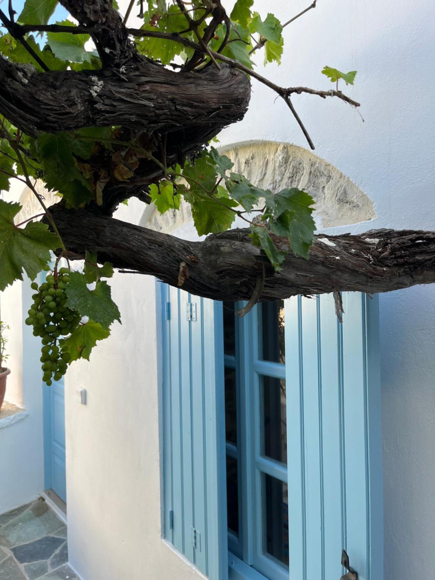 Dream House Little Villa - Amorgo Esterno foto